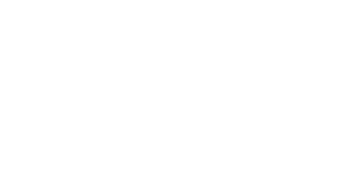Domesa